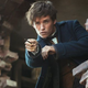 Image for article titled Weekend Box Office: Fantastic Receipts And Where To Find Them